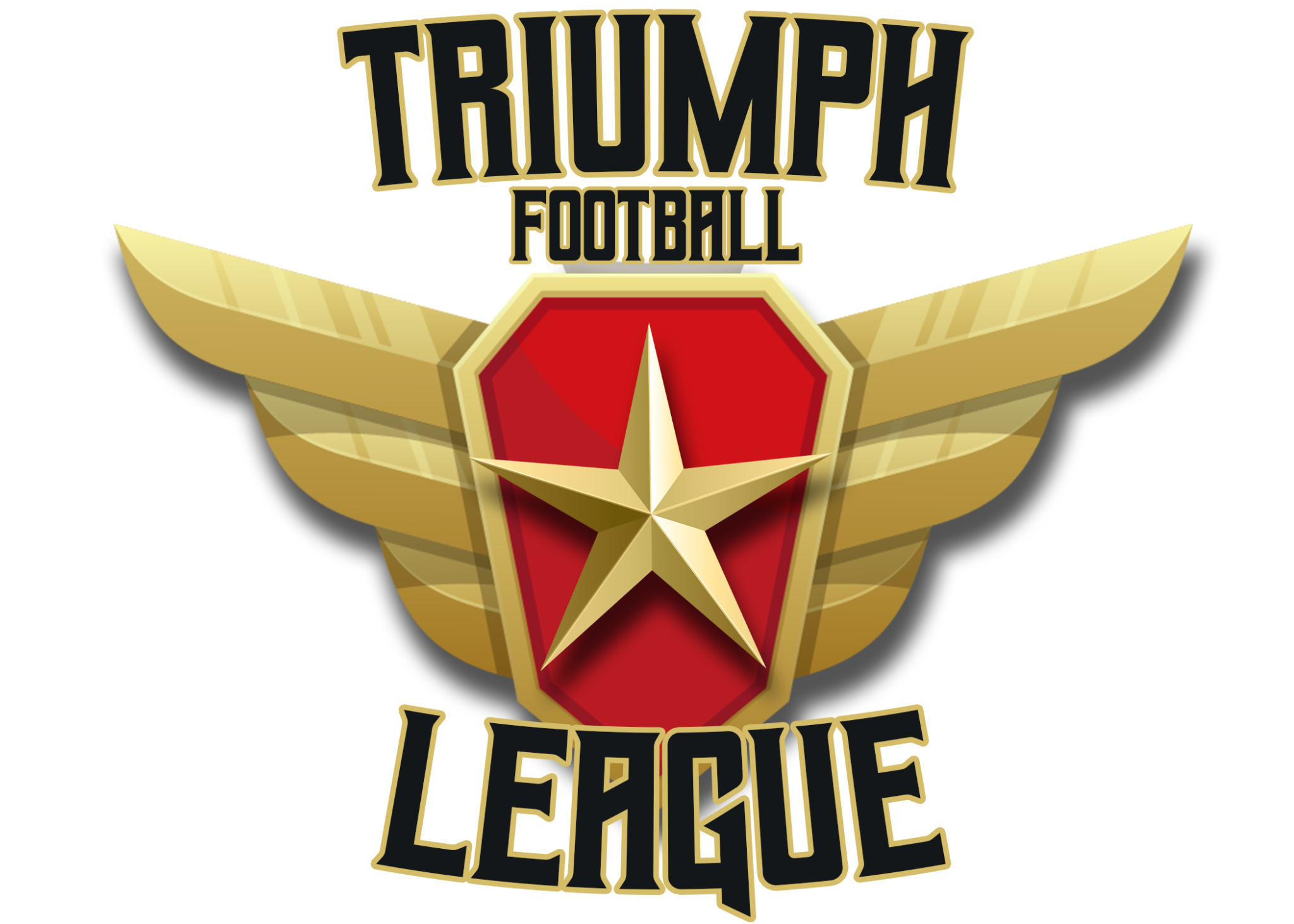 TFL Southern Sports Network